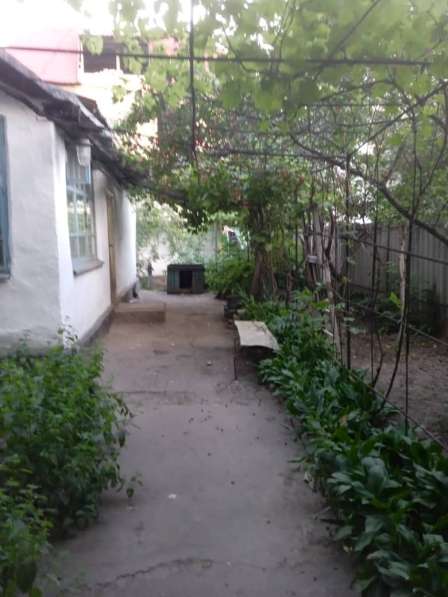 Продам дом с участком в центре г. Бишкек в фото 4