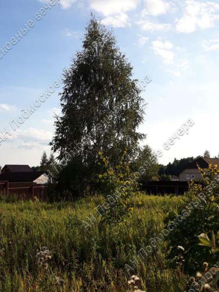 realty_mapper3.plot_in_locationСадовое некоммерческое тов-во. Есть Электричество, Газ. в Москве