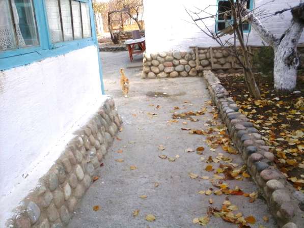 Дом в курортном поселке в Киргизии в фото 3