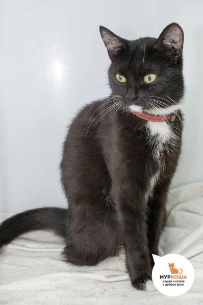 Мадонна - грациозное произведение искусства в Москве фото 3