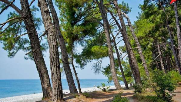 Экскурсии из Голвинки, Вардане и Лоо в Абхазию в Сочи фото 17