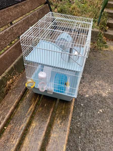 Клетка в Трехгорном