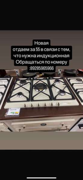 Одежда