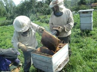 Мёд для здоровья в Чебоксарах