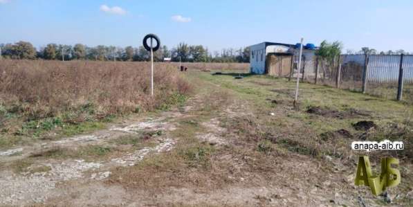 Анапа земельный участок 2Га в Витязево в Анапе