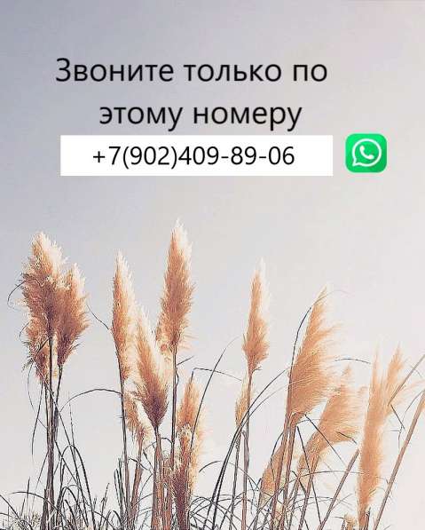 Сдам однушку на Кутузова, 48 в Орске фото 9