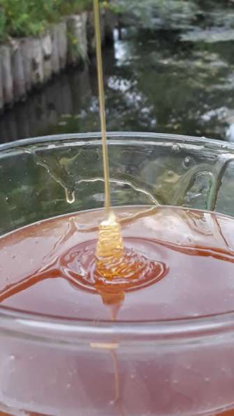 Доставка мёда со своей пасеки в Долгопрудном