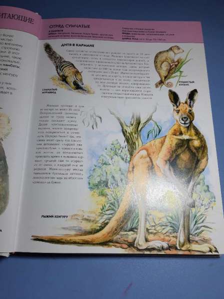 Книга о животных в фото 3