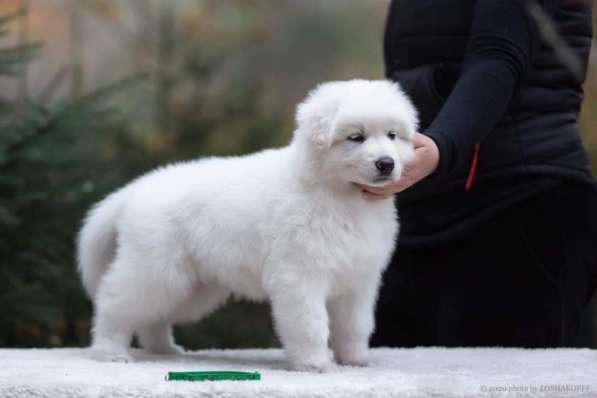 Очень перспективная малышка