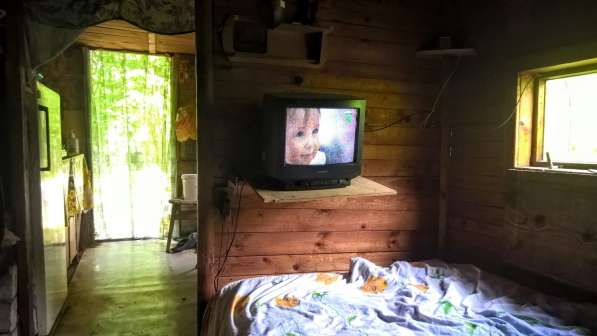 Участок 25 соток ИЖС в лесу, жилая бытовка и баня в Пскове фото 8