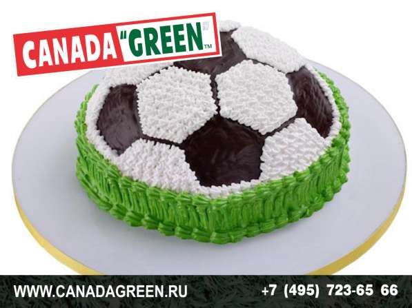 Газон КАНАДА ГРИН в Москве фото 7