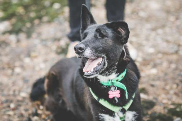 Уникальная Шерри в Москве фото 27