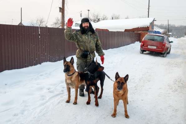 Дрессировка собак в Барнауле