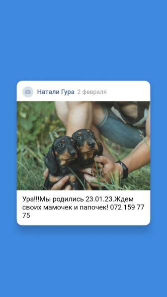 Таксята ждут раннего бронирования