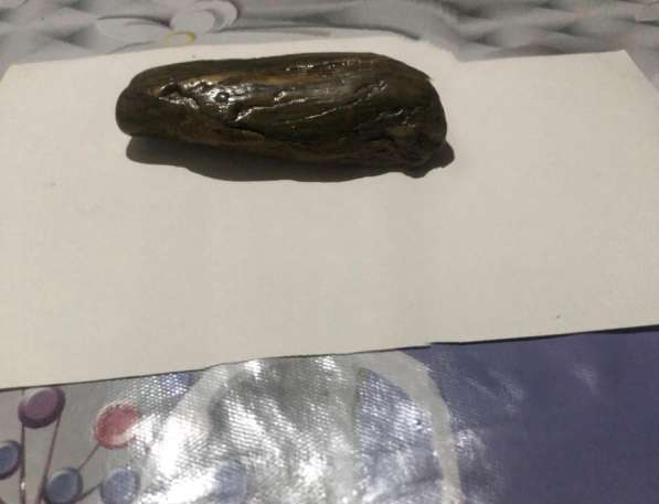 Натуральный камень, окаменелости в Гулькевичах фото 8