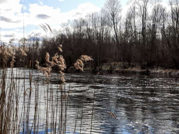 Домик с банькой на берегу реки, 50 соток земли в Пскове фото 14
