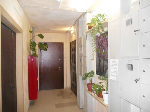 3 комнатную квартиру (распашонка)общей площадью 84 м2 в Серпухове фото 4