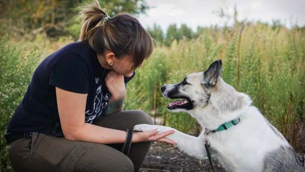 Суперактивная Халва в Москве фото 55