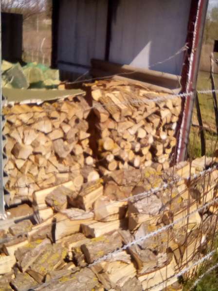 Продаются дрова в Калаче-на-дону