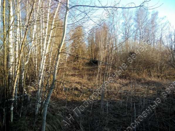 realty_mapper3.plot_in_locationИндивидуальное жилищное ст-во. Есть Электричество, Газ. в Москве фото 21