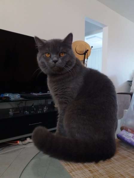 Вязка в фото 9