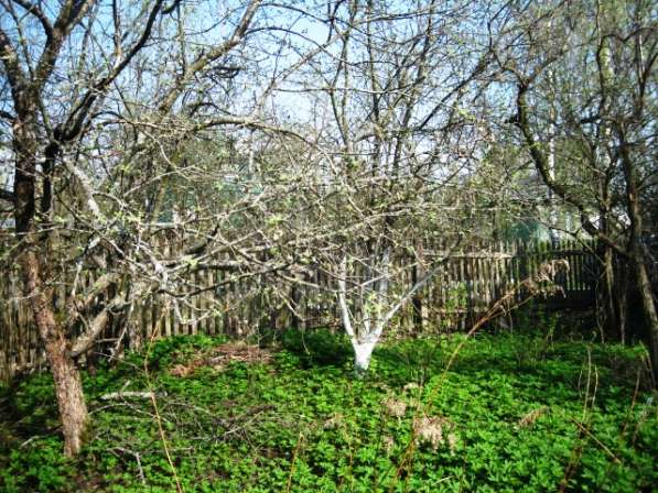 Летняя дача в Алешинских садах на 6 сотках, 30км. от МКАД в Москве фото 3