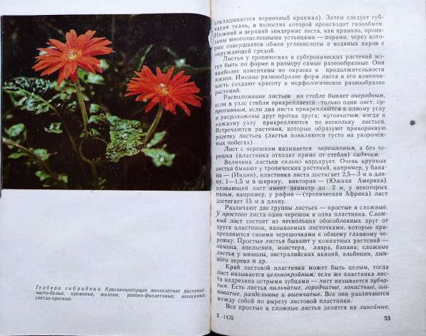 Комнатные цветы – подборка книг_02 в фото 5