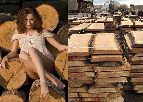 Лучина для растопки каминов в фото 11