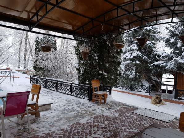 Коттедж с кедровой баней и бассейном на бер. Волги в Самаре фото 58