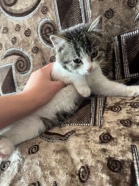 Отдаём в хорошие руки☺️