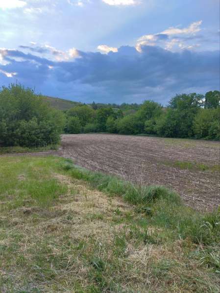 Продам большой приватизированный земельный участок в фото 3