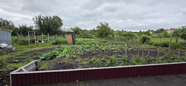 Продам дом в с. Становое в Елеце фото 9