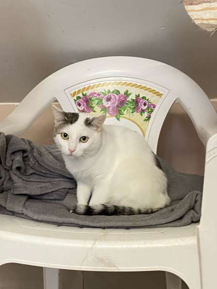 Ищет Дом в Вологде фото 3