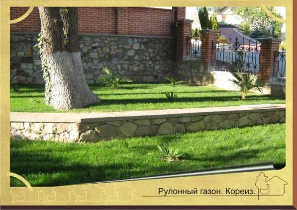 Укладка рулонного газона Севастополь, Крым в Севастополе