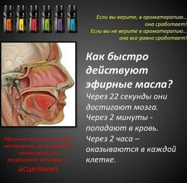 Аромабизнес в Симферополе фото 10