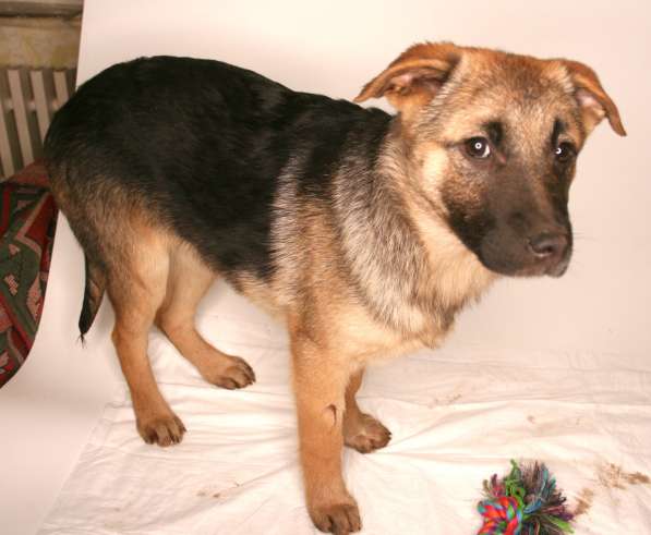 Маленькая Динка ищет семью в Москве фото 13