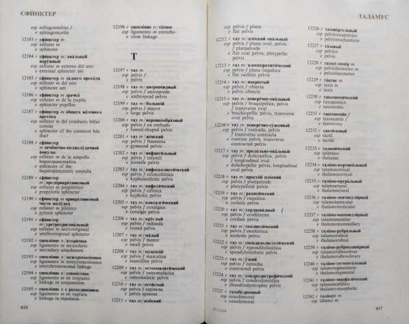 Русско-испанско-английский словарь по морфологии человека в фото 6