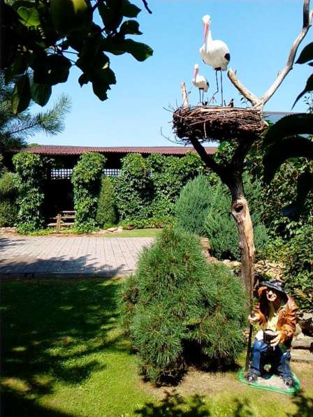 Агроусадьба под Минском на ЧМ в фото 21