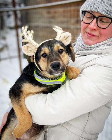 Чудесная малышка Бэмби ищет семью! в Москве фото 17