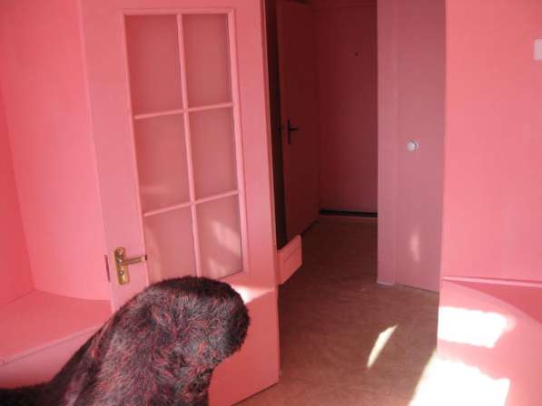 Хозяин! 1 ком. на Стрелке в фото 9