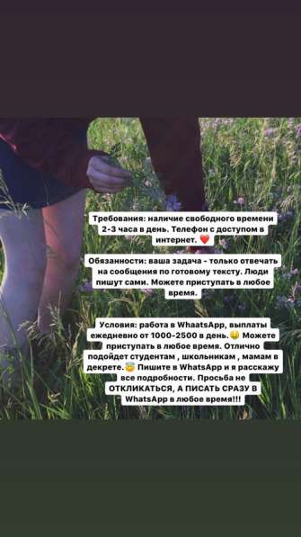 Работа в WhatsApp