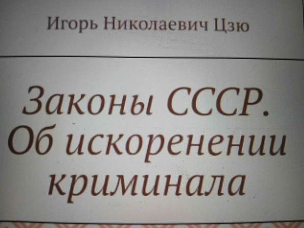 Игорь Цзю: "Восьмое Обращение Верховного Правителя СССР" в Владимире фото 3