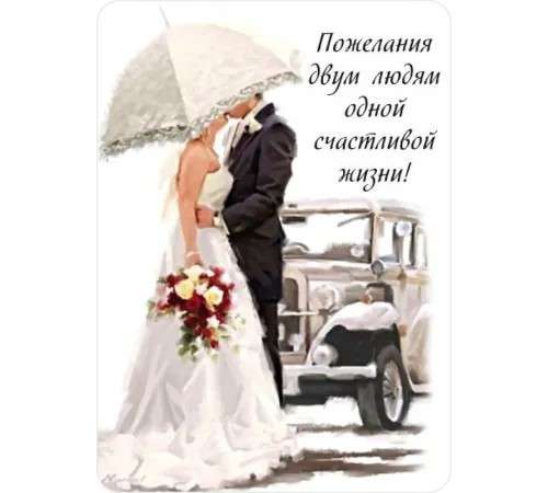 Упаковка для цветов, открытки и конверты от производителя в Махачкале фото 3