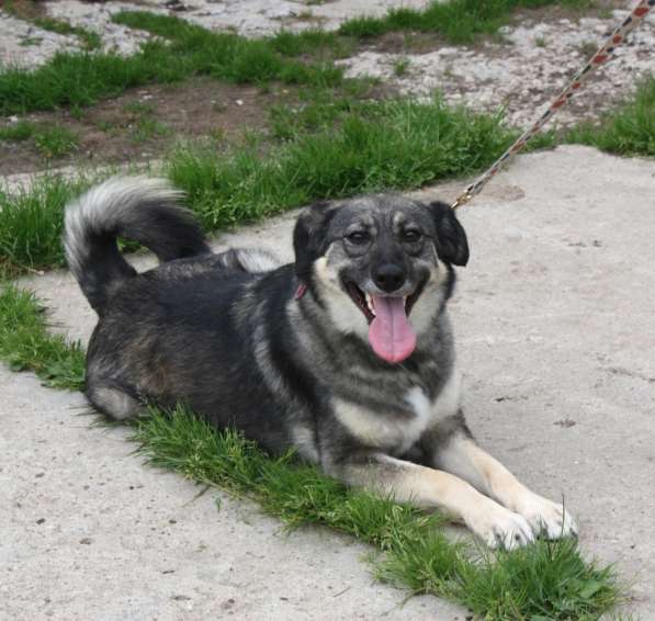 Ласковая, жизнерадостная позитивная Златочка ждет свою семью в Москве