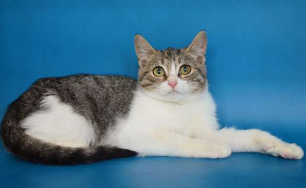 Ищут дом Сёма и Сева