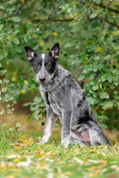 Меня сняли с крыши и назвали Скай