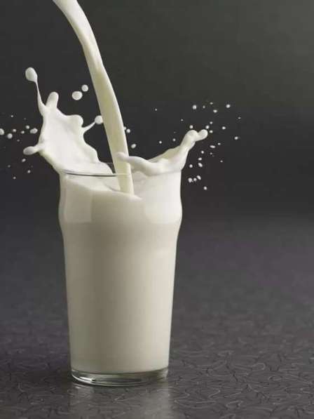 Молоко, Сметана в Костерёво фото 3