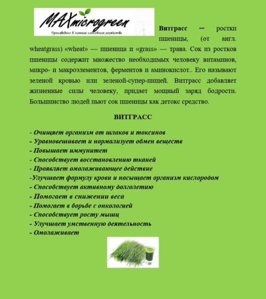 Предлагается Микрозелень и Витграсс в Подольске фото 4
