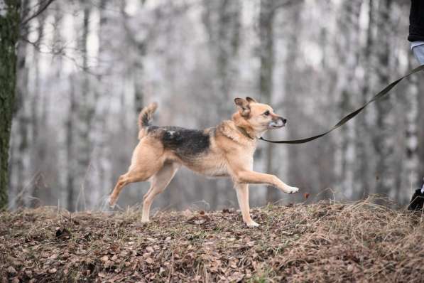 Харизматичный Марк ищет дом в Москве фото 39