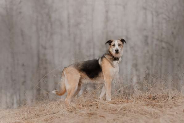 Молодой энергичный Майор ищет семью в Москве фото 10
